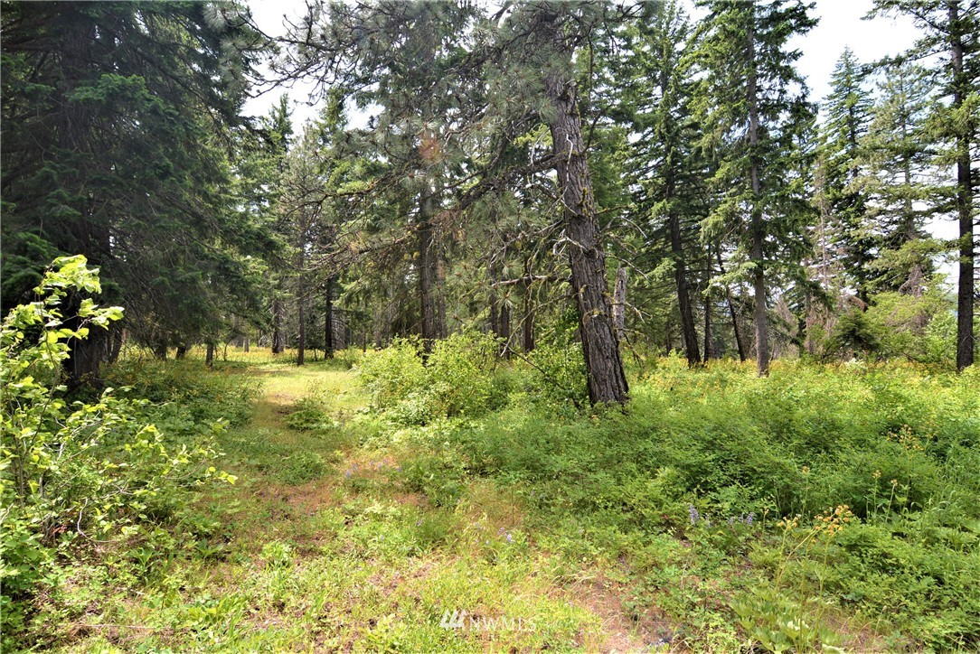 9 Talmadge Road Cle Elum, WA 98922 - Photo 5 of 15 Gallery Image 5