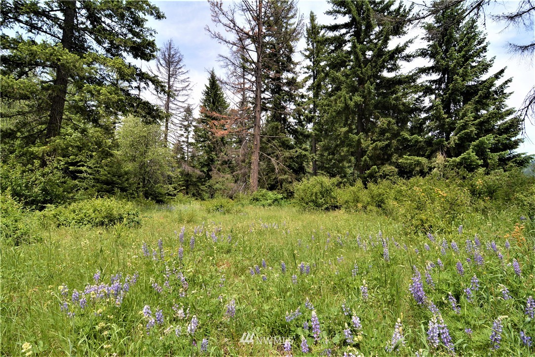 9 Talmadge Road Cle Elum, WA 98922 - Photo 6 of 15 Gallery Image 6