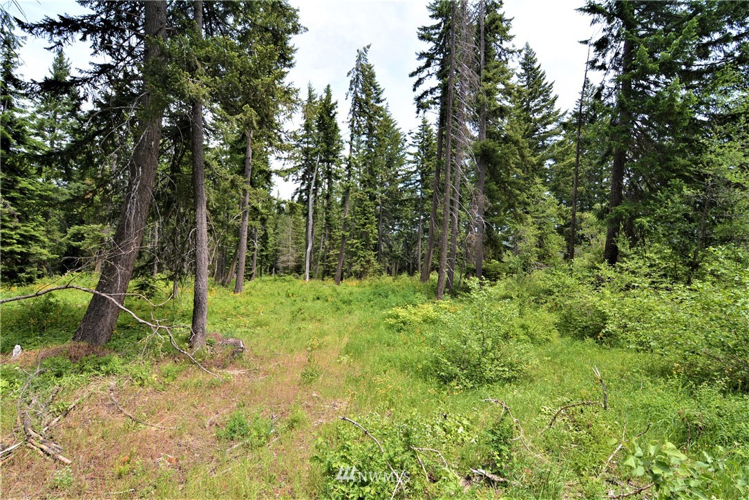 9 Talmadge Road Cle Elum, WA 98922 - Photo 8 of 15 Gallery Image 8