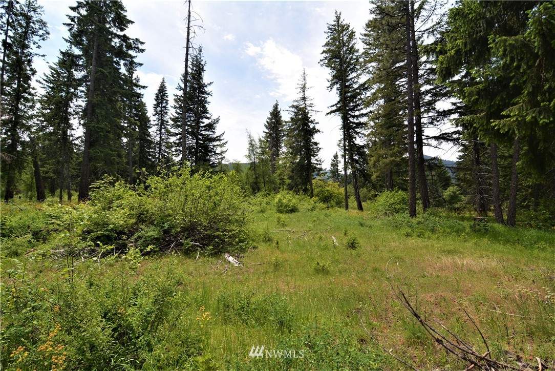 9 Talmadge Road Cle Elum, WA 98922 - Photo 9 of 15 Gallery Image 9