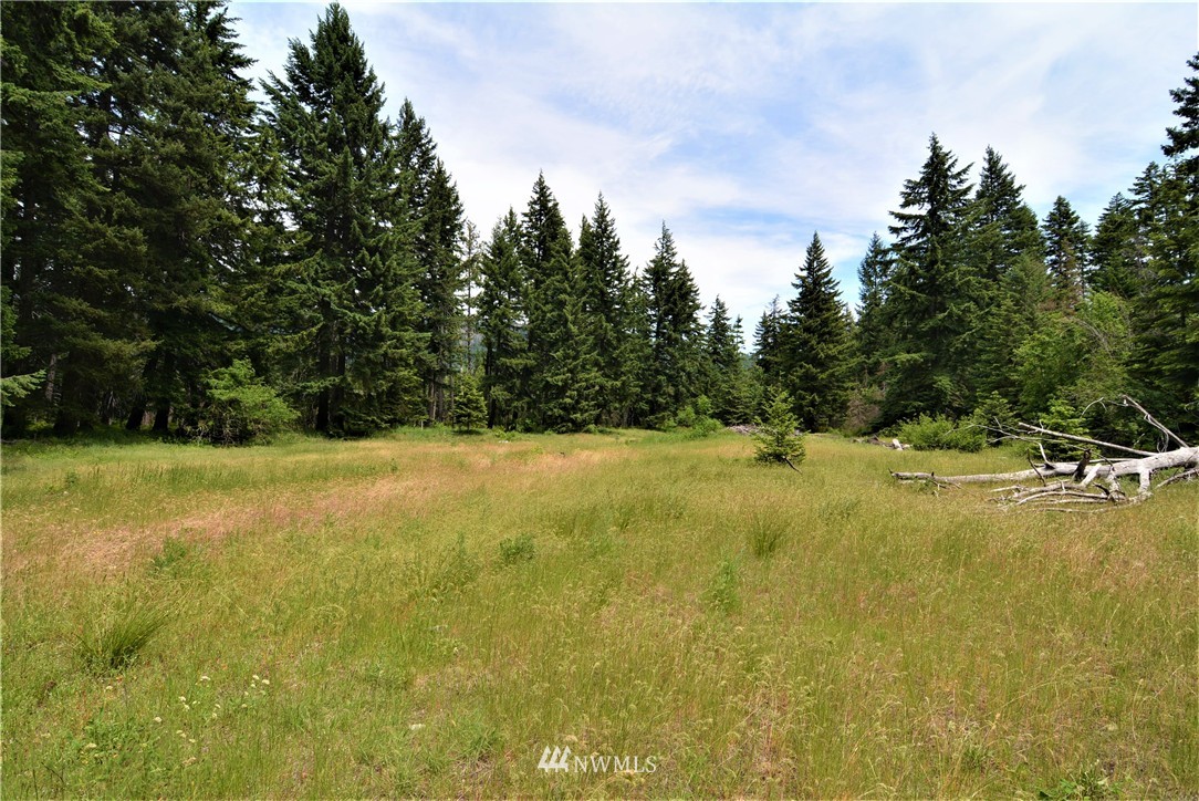 9 Talmadge Road Cle Elum, WA 98922 - Photo 10 of 15 Gallery Image 10