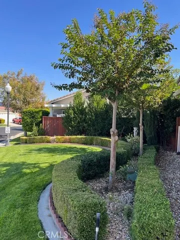a view of a garden with a tree