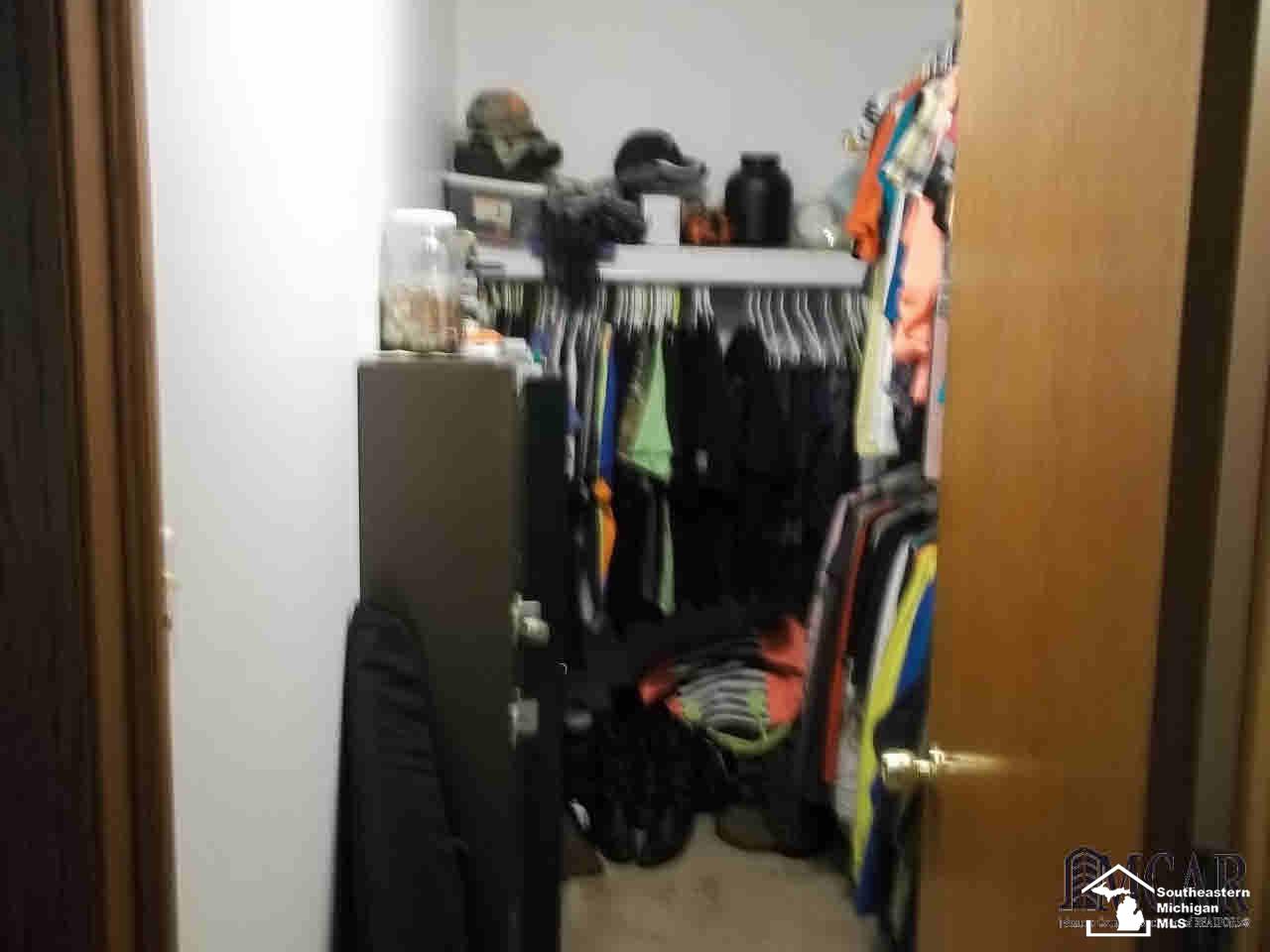 3715 Kelly Road Erie, MI 48133 - Photo 8 of 30 Master Bedroom Closet