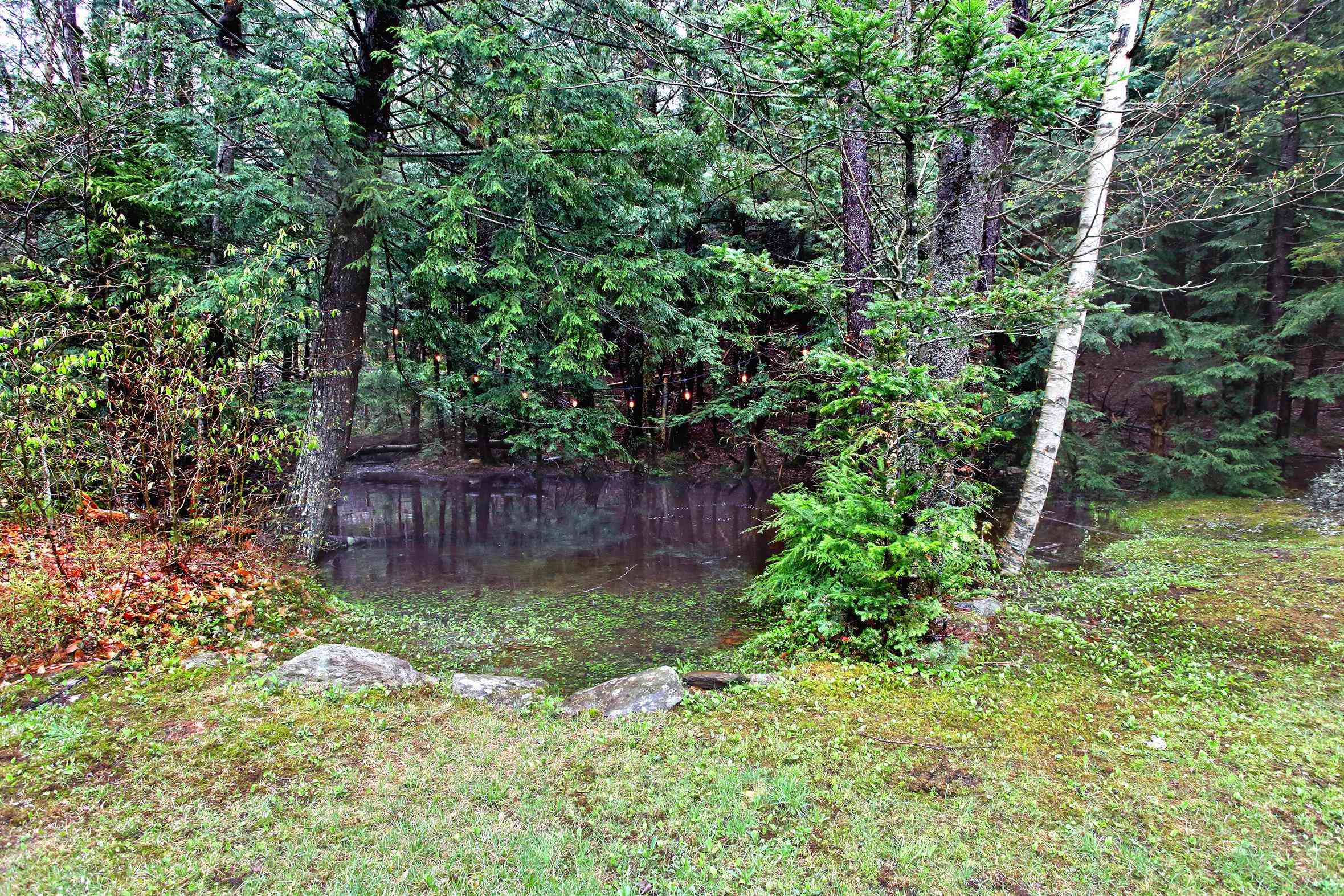 886 Brook Road Halifax, VT 05358 - Photo 32 of 32