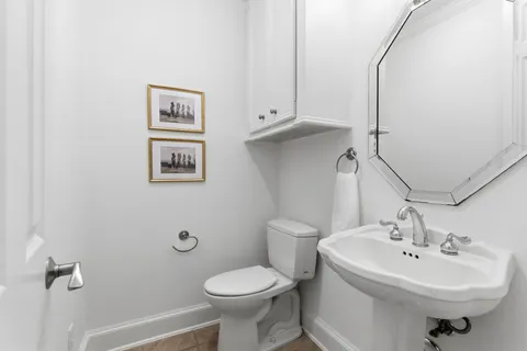 a view of a yard with plants and large trees