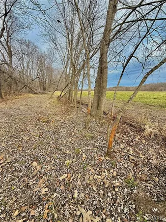 $104,000 | 6 Unincorporated Mo 65452, Crocker, MO 65452