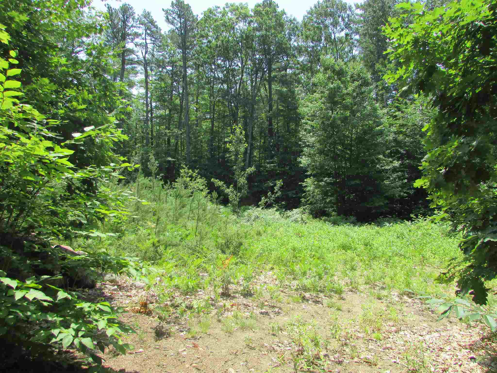 24 Acton Ridge Road, Unit MAP 110 East Wakefield, NH 03830 - Photo 3 of 8
