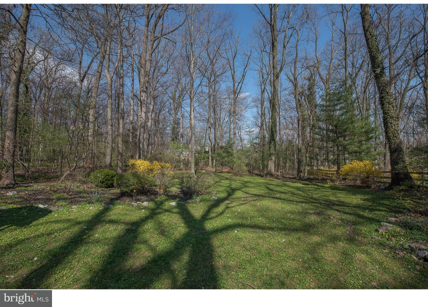 8 Briar Road Wayne, PA 19087 - Photo 22 of 25 Exterior Back
