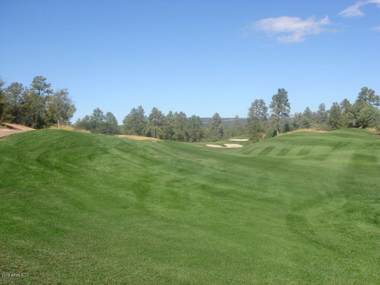 303 South Genius Loci, Unit 57 Payson, AZ 85541 - Photo 2 of 33 View2