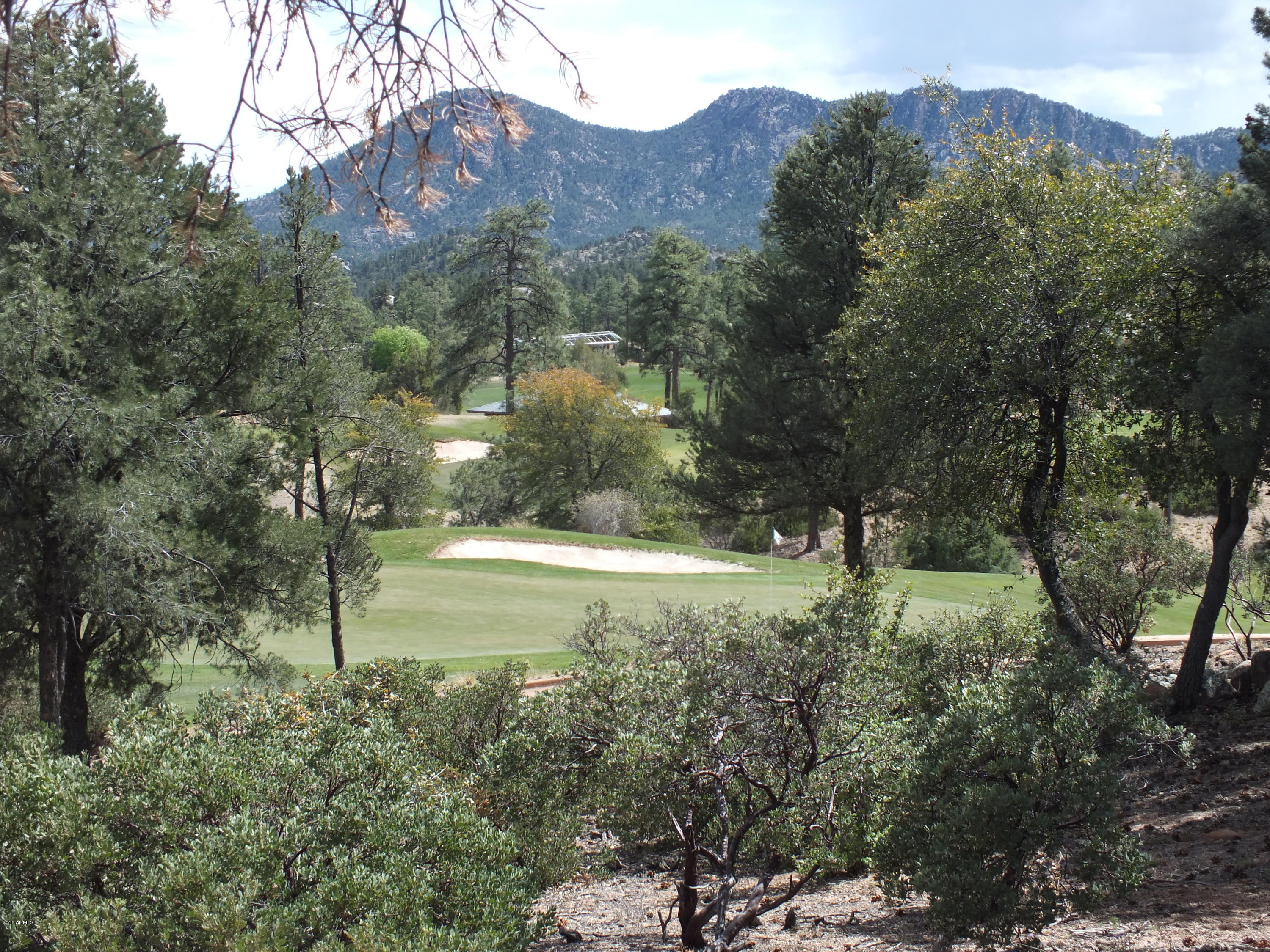 303 South Genius Loci, Unit 57 Payson, AZ 85541 - Photo 3 of 33 S0060867