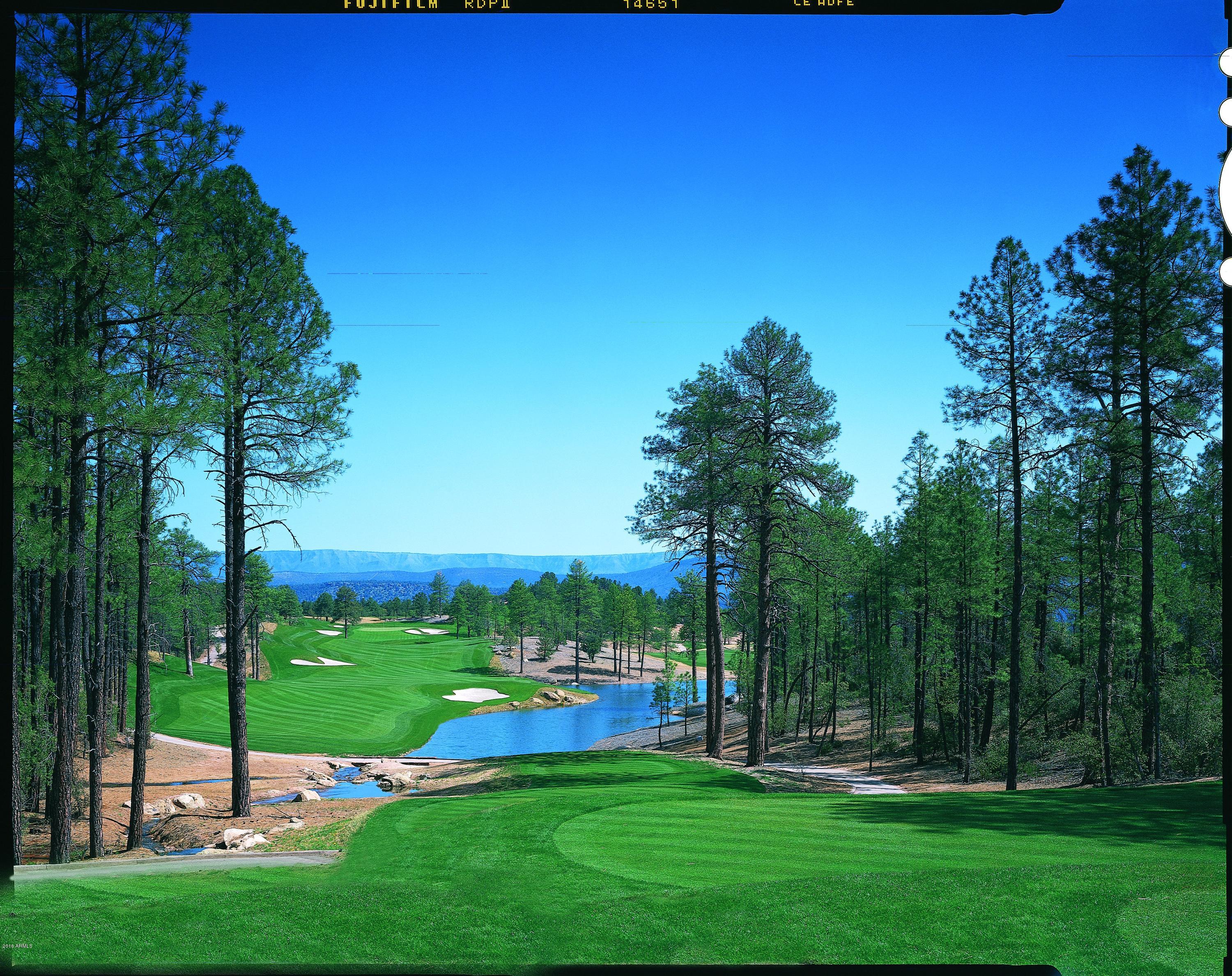 303 South Genius Loci, Unit 57 Payson, AZ 85541 - Photo 32 of 33 Pixs 024