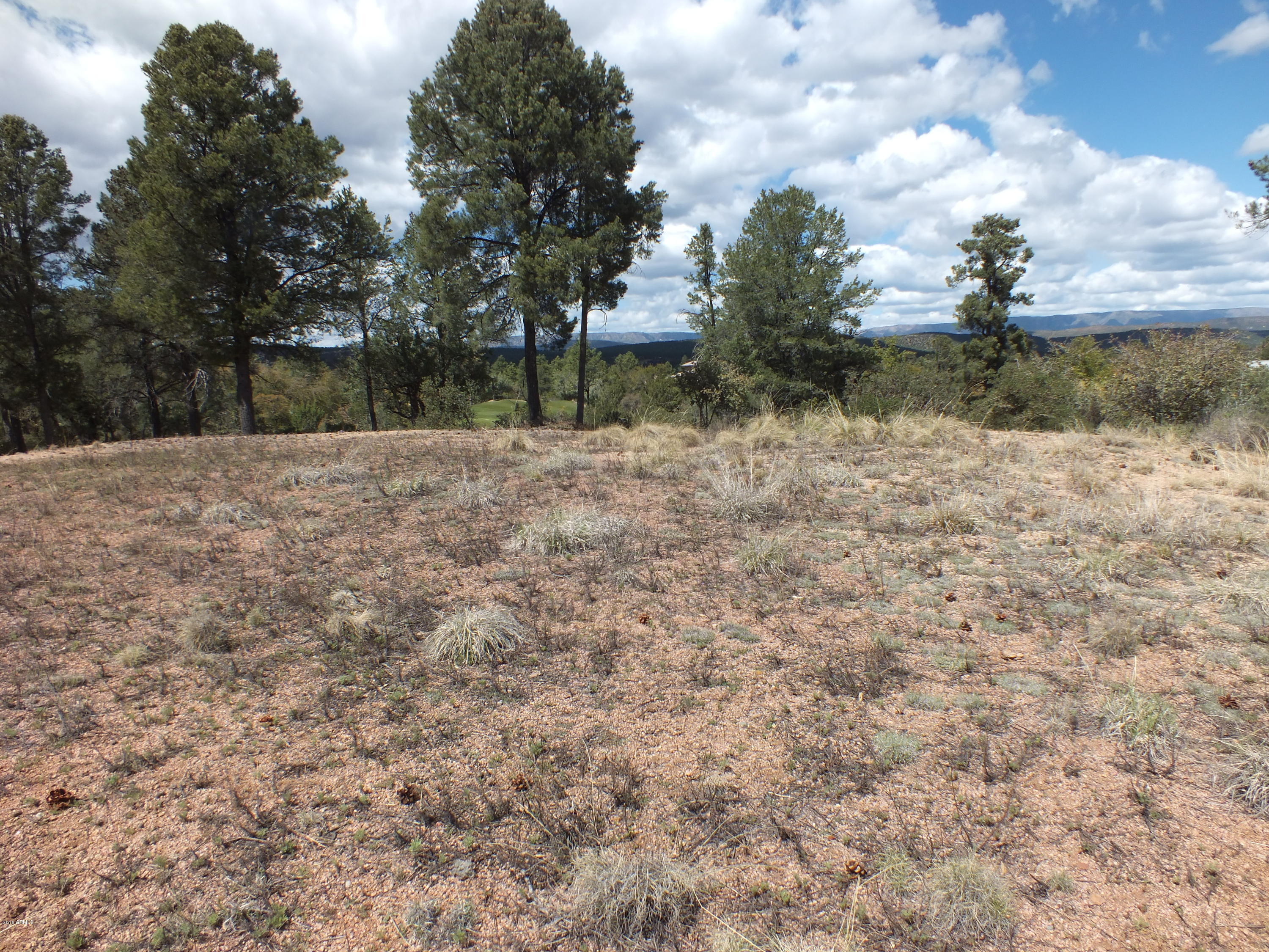 303 South Genius Loci, Unit 57 Payson, AZ 85541 - Photo 7 of 33 S0050863