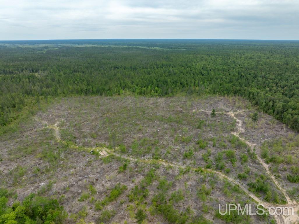 Tbd Off Co Rd 450 Road Seney, MI 49883 - Photo 6 of 13