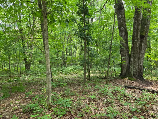 $135,000 | 6759 Van Buren Street, Hesperia, MI 49421