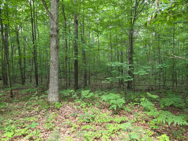 $135,000 | 6759 Van Buren Street, Hesperia, MI 49421