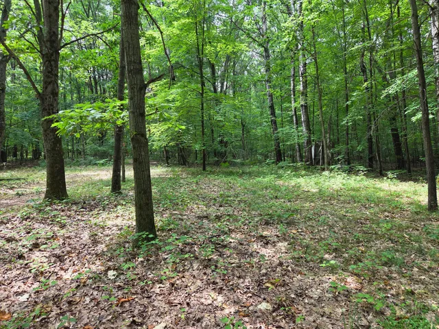 $135,000 | 6759 Van Buren Street, Hesperia, MI 49421