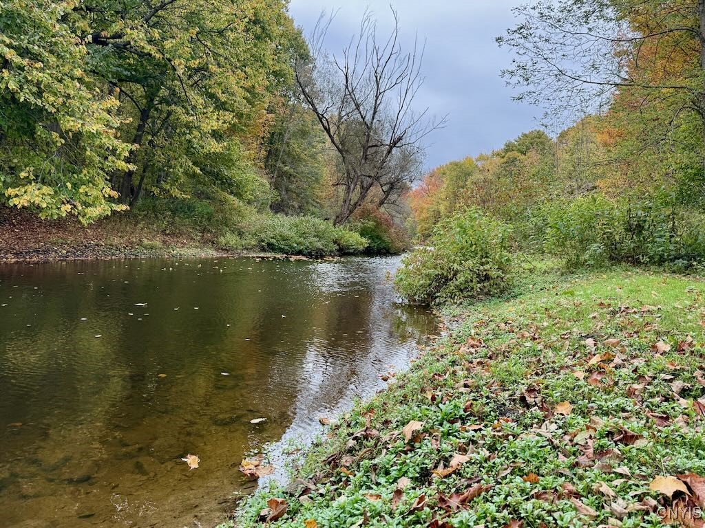 Off Off Rt-69 Parish, NY 13131 - Photo 41 of 42