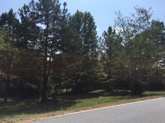 203 Flat Shoals Road, Unit 36 91 ACRES Walhalla, SC 29691 - Photo 11 of 22 Gallery Image 11