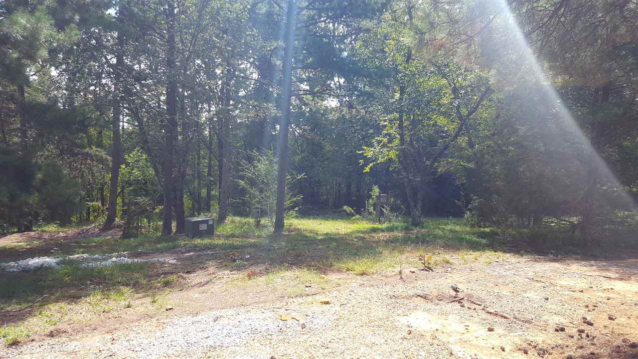 203 Flat Shoals Road, Unit 36 91 ACRES Walhalla, SC 29691 - Photo 18 of 22 Gallery Image 18