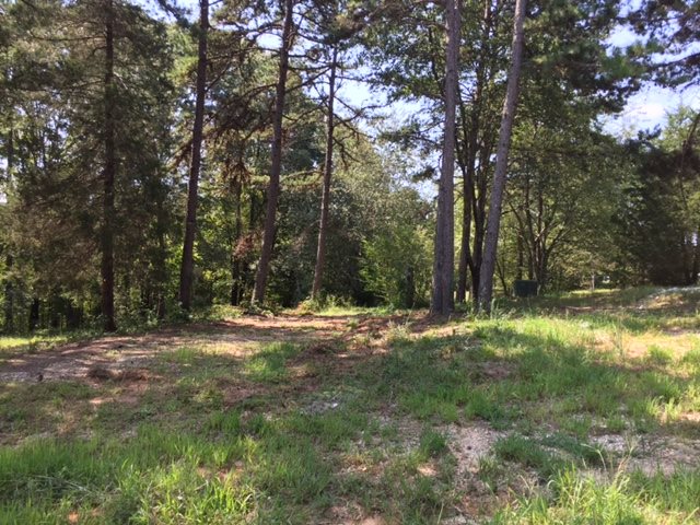 203 Flat Shoals Road, Unit 36 91 ACRES Walhalla, SC 29691 - Photo 5 of 22 Gallery Image 5