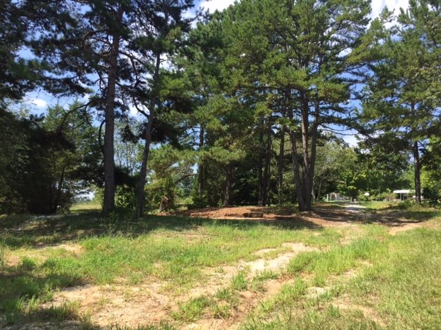 203 Flat Shoals Road, Unit 36 91 ACRES Walhalla, SC 29691 - Photo 6 of 22 Gallery Image 6