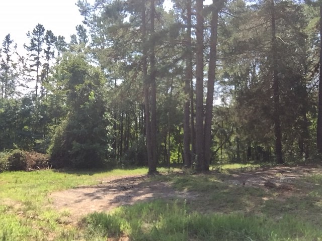 203 Flat Shoals Road, Unit 36 91 ACRES Walhalla, SC 29691 - Photo 7 of 22 Gallery Image 7