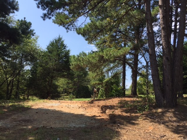 203 Flat Shoals Road, Unit 36 91 ACRES Walhalla, SC 29691 - Photo 8 of 22 Gallery Image 8