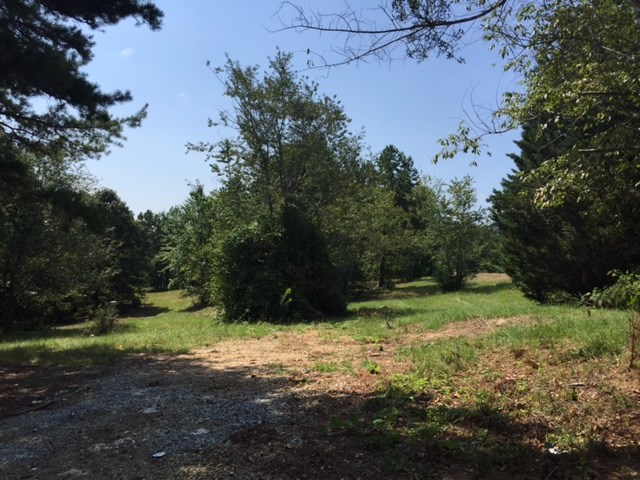 203 Flat Shoals Road, Unit 36 91 ACRES Walhalla, SC 29691 - Photo 9 of 22 Gallery Image 9