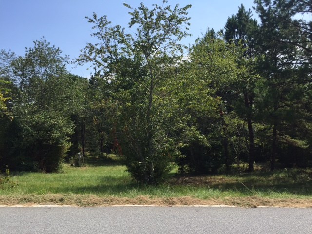 203 Flat Shoals Road, Unit 36 91 ACRES Walhalla, SC 29691 - Photo 10 of 22 Gallery Image 10