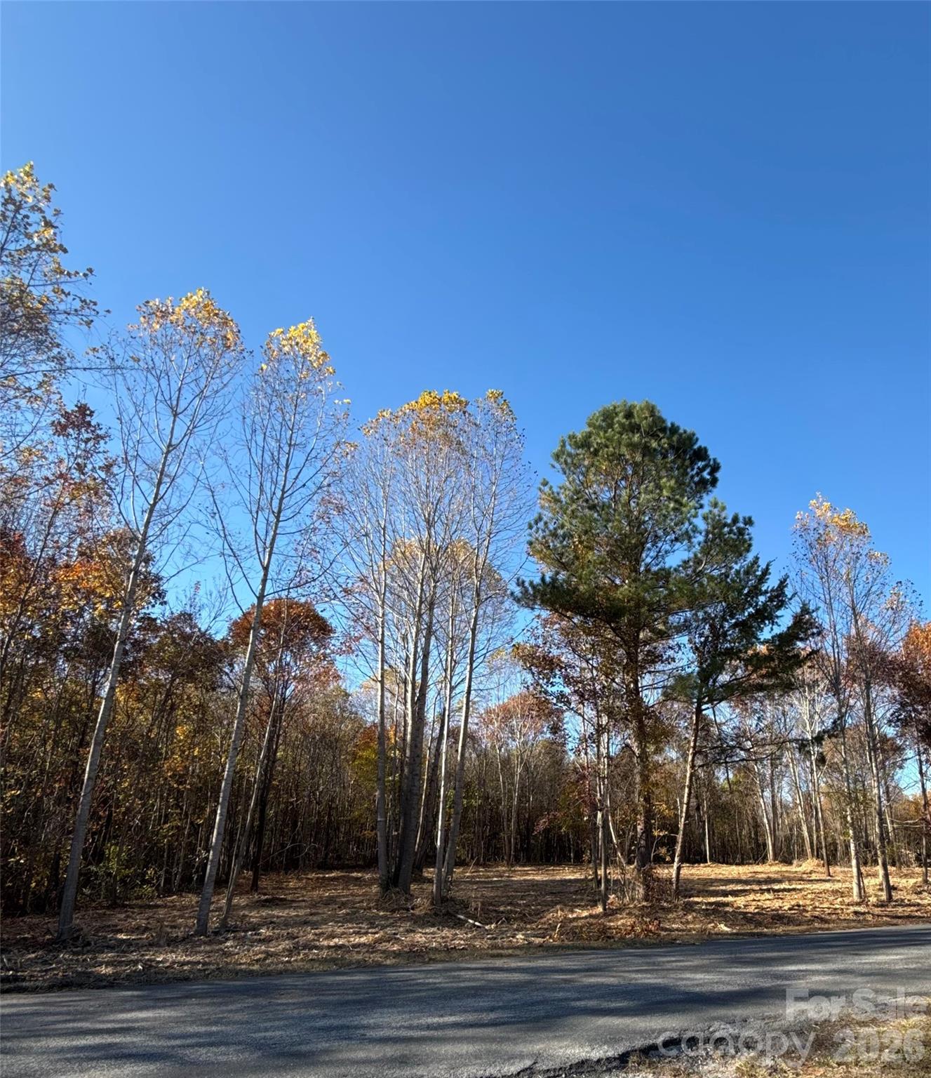 2 Erwin Temple Church Road Woodleaf, NC 27054 - Photo 1 of 7