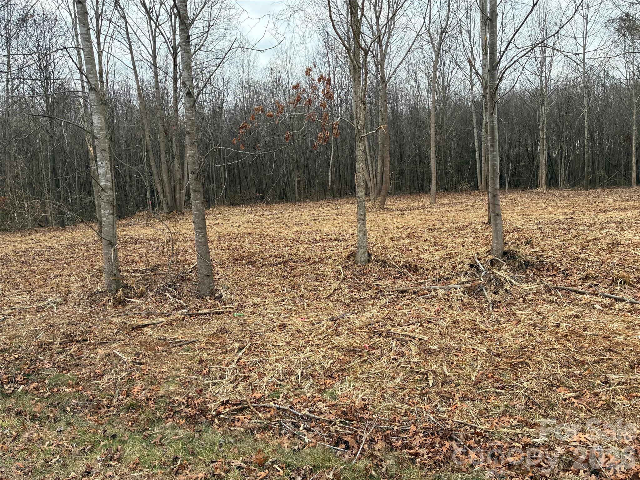 2 Erwin Temple Church Road Woodleaf, NC 27054 - Photo 2 of 7 a backyard of a house with lots of green space