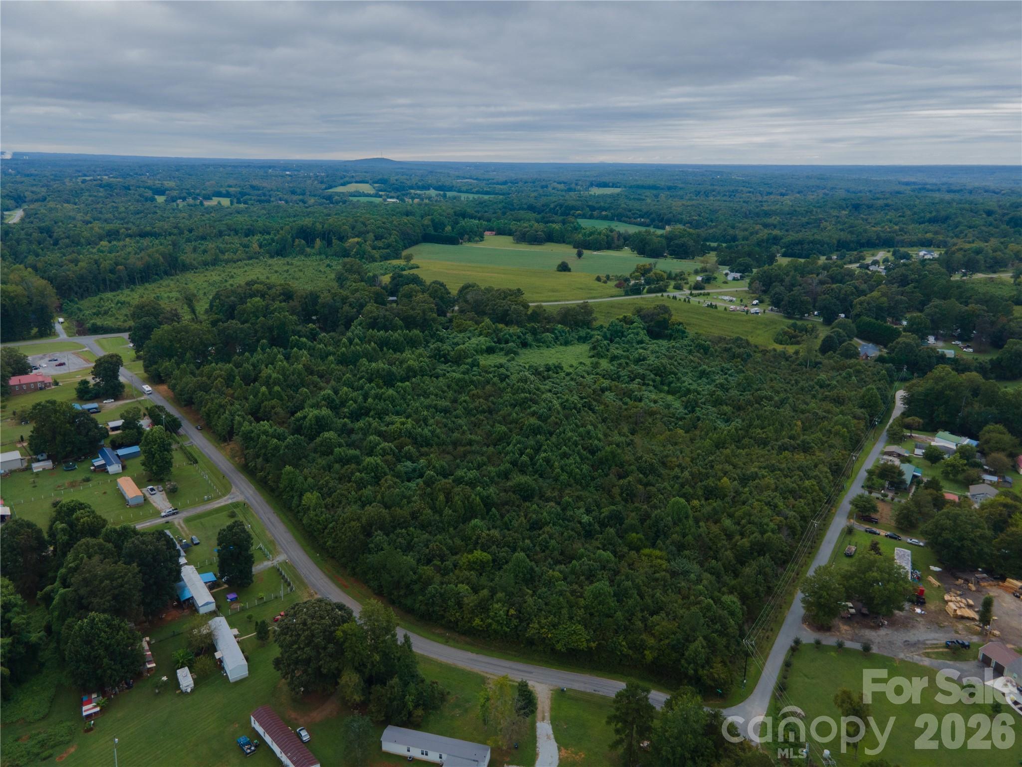 2 Erwin Temple Church Road Woodleaf, NC 27054 - Photo 6 of 7 a view of a city with lush green forest