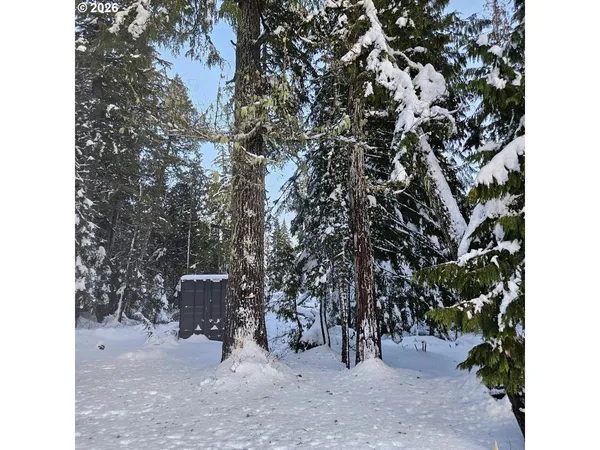 $819,900 | 31060 Bergstrasse Lane, Government Camp, OR 97028