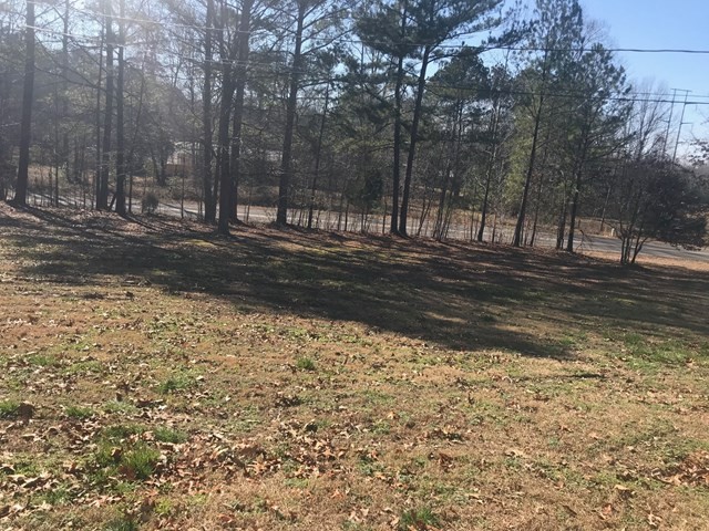 3590 Lindsey Memorial Road Rocky Face, GA 30740 - Photo 4 of 13 Gallery Image 4
