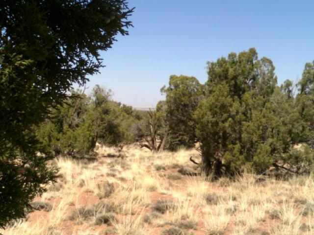 Lot 152 Woodridge Ranch Concho, AZ 85924 - Photo 1 of 11