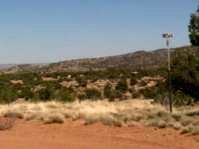 Lot 152 Woodridge Ranch Concho, AZ 85924 - Photo 3 of 11