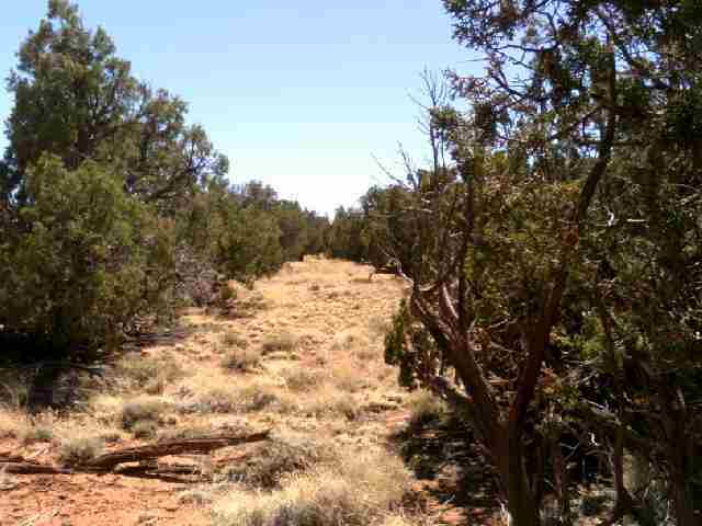 Lot 152 Woodridge Ranch Concho, AZ 85924 - Photo 5 of 11
