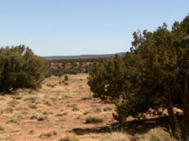 Lot 152 Woodridge Ranch Concho, AZ 85924 - Photo 6 of 11