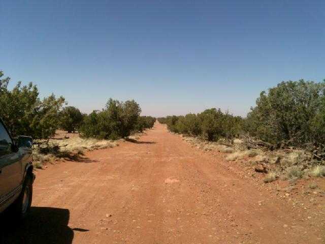Lot 152 Woodridge Ranch Concho, AZ 85924 - Photo 7 of 11