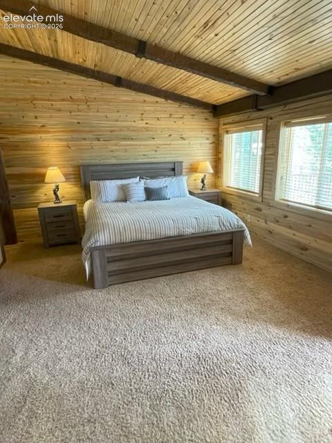 269 Southpark Road Florissant, CO 80816 - Photo 20 of 37