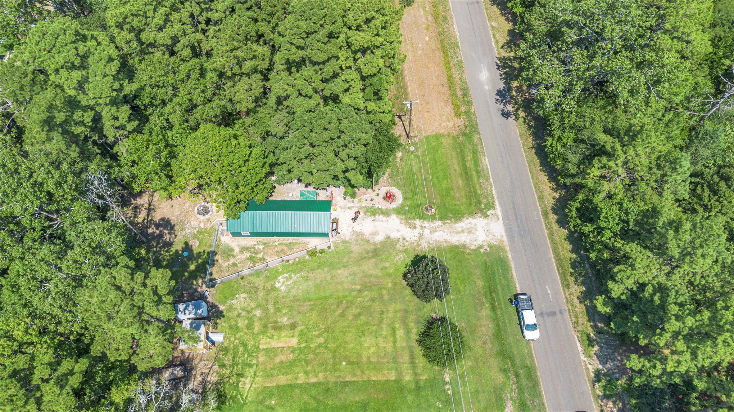 2075 Mangum Road Livingston, TX 77351 - Photo 39 of 45 a close up of a plant in a garden