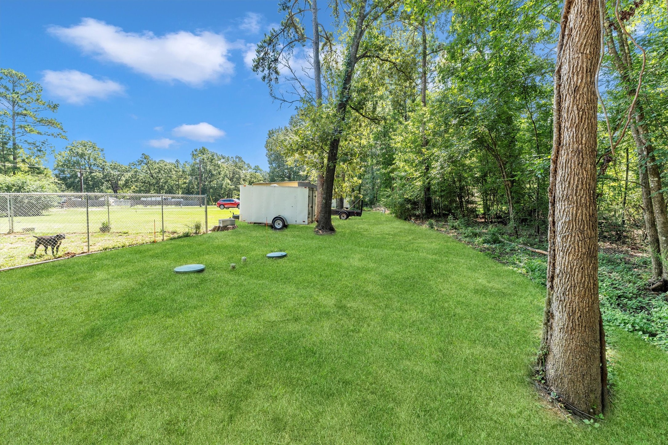 2075 Mangum Road Livingston, TX 77351 - Photo 8 of 45 a view of a lake with a big yard