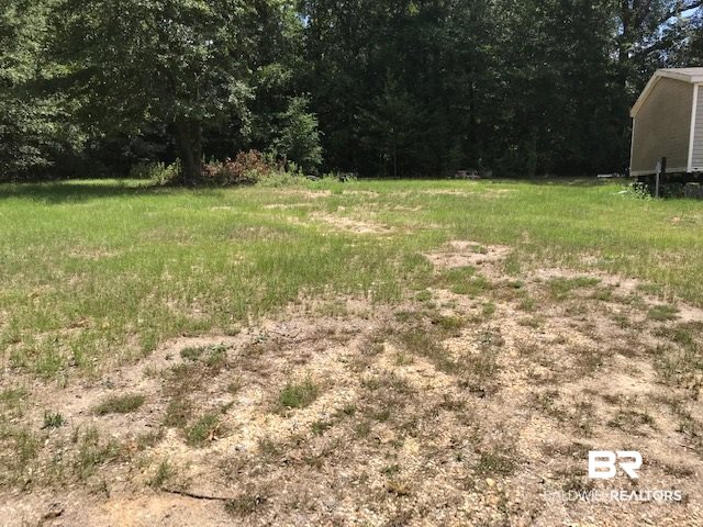 339 Blackburn Lane Brewton, AL 36426 - Photo 9 of 13 Top of Drive