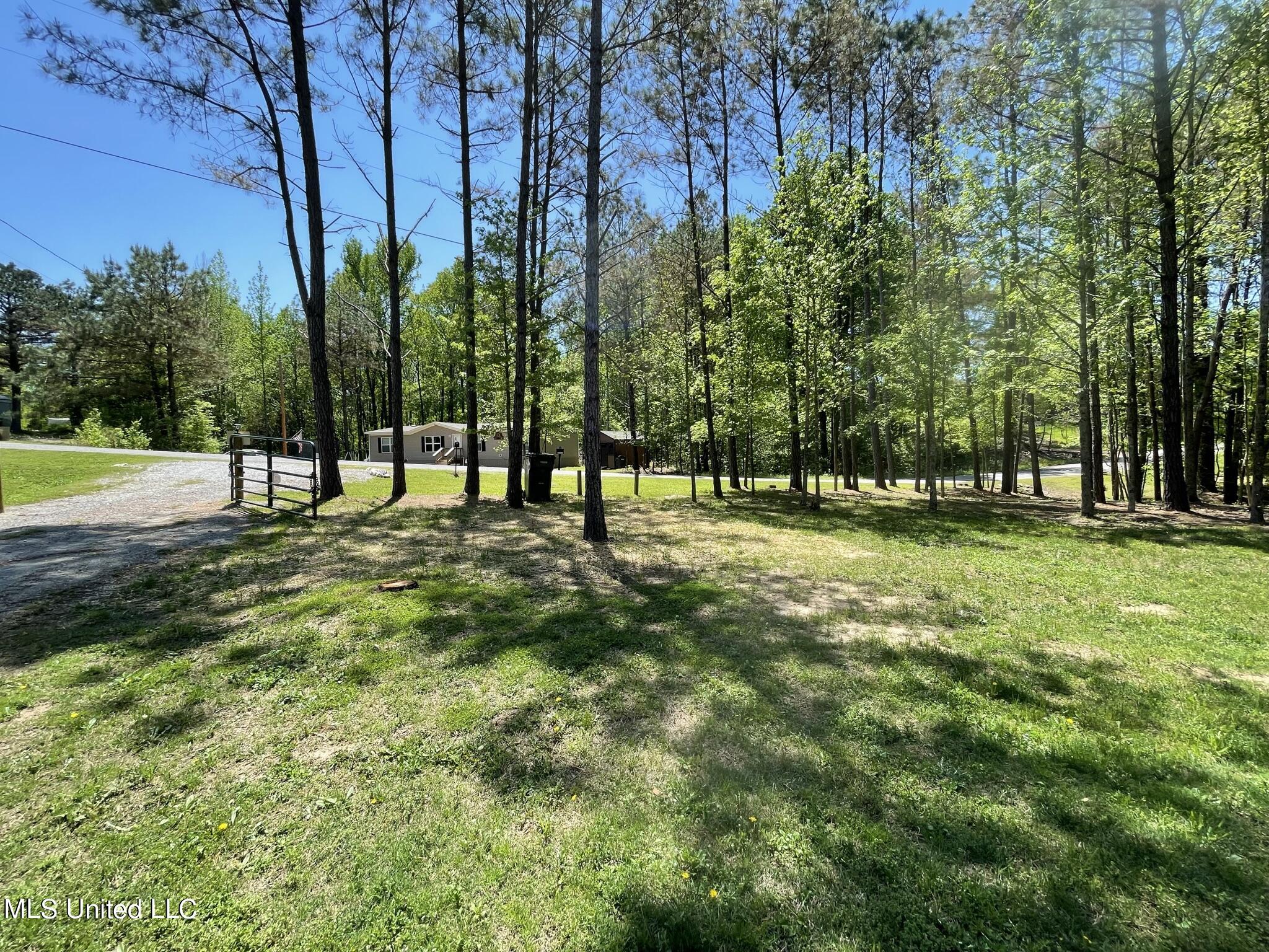 315 Young Road Byhalia, MS 38611 - Photo 11 of 14 0AF3BC51-E8F4-486D-9B04-2E675255A188