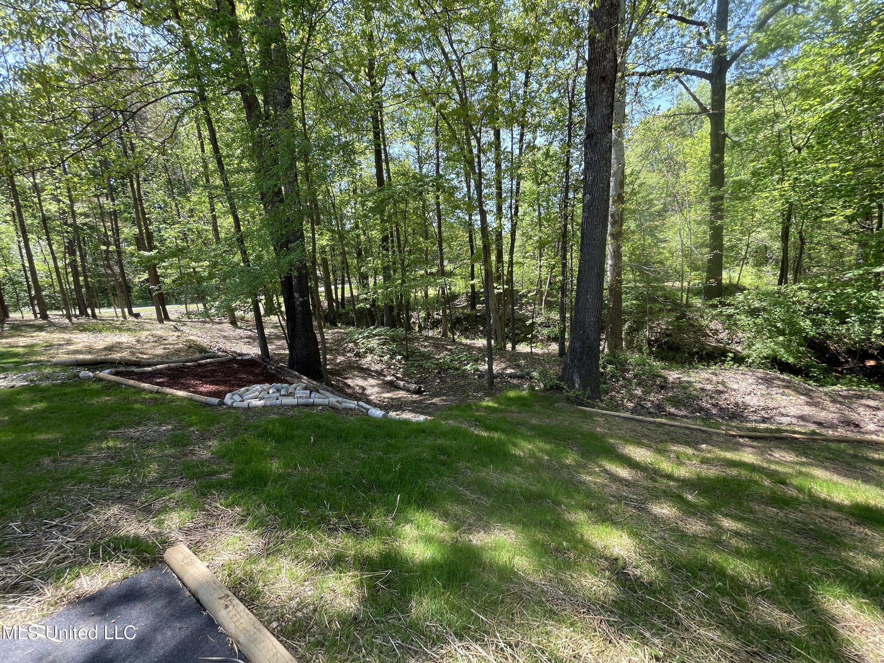 315 Young Road Byhalia, MS 38611 - Photo 12 of 14 8CB6FA55-FC7B-41C9-A33A-A8E138880A8D