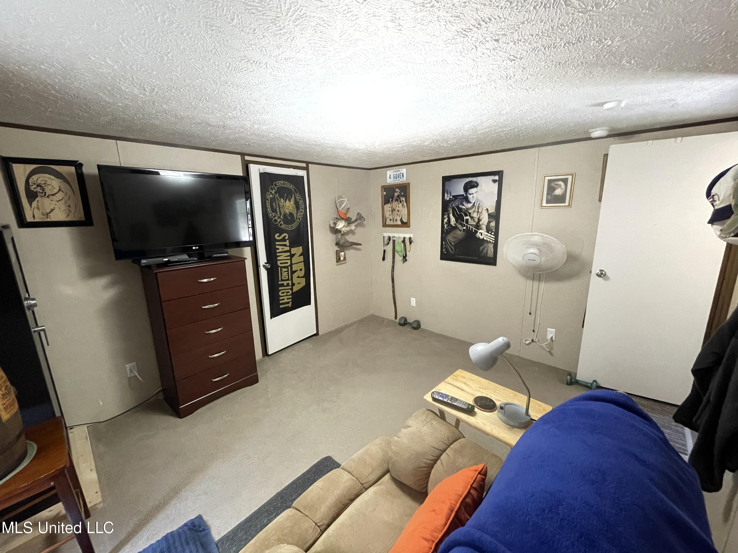 315 Young Road Byhalia, MS 38611 - Photo 5 of 14 0EFA0BAE-2700-44BB-9542-41E12FC5BCCE