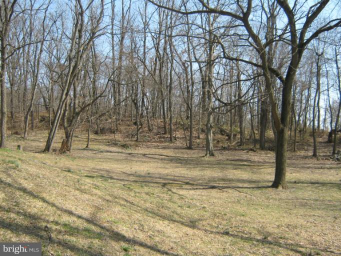 5142 Poe Road Chambersburg, PA 17202 - Photo 5 of 11 Lot View