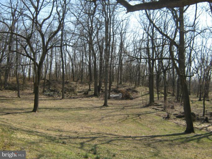 5142 Poe Road Chambersburg, PA 17202 - Photo 7 of 11 View lot