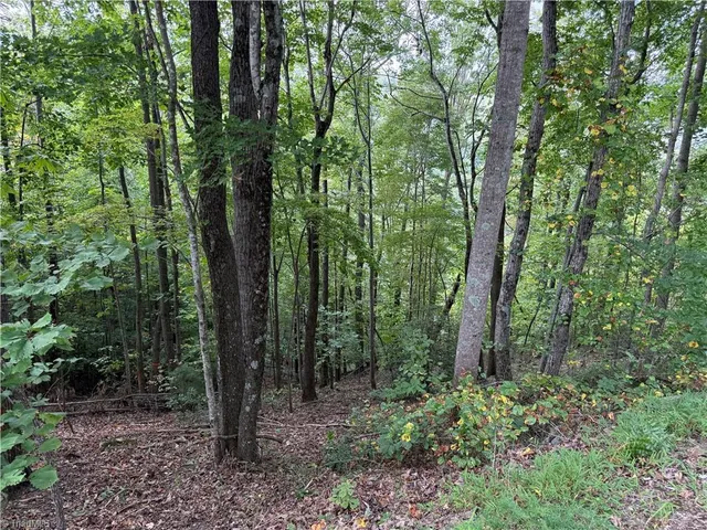 $99,900 | 0 Price Road, Moravian Falls, NC 28654