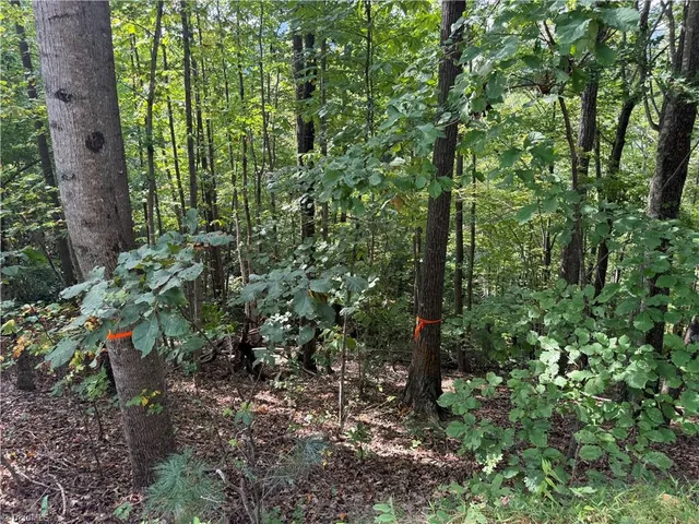 $99,900 | 0 Price Road, Moravian Falls, NC 28654